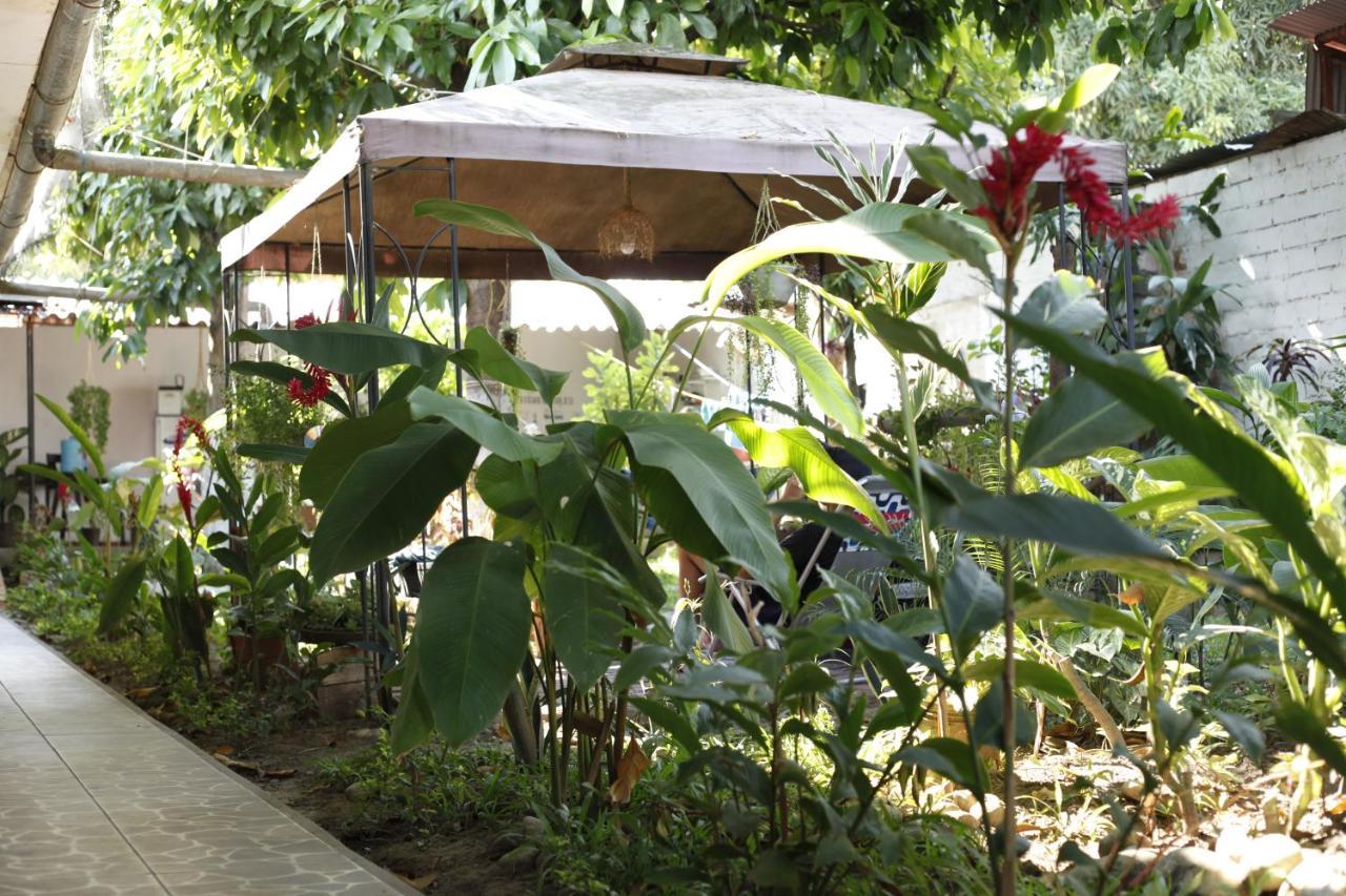 Backpacker Kitara House Hotel Tarapoto Exterior photo